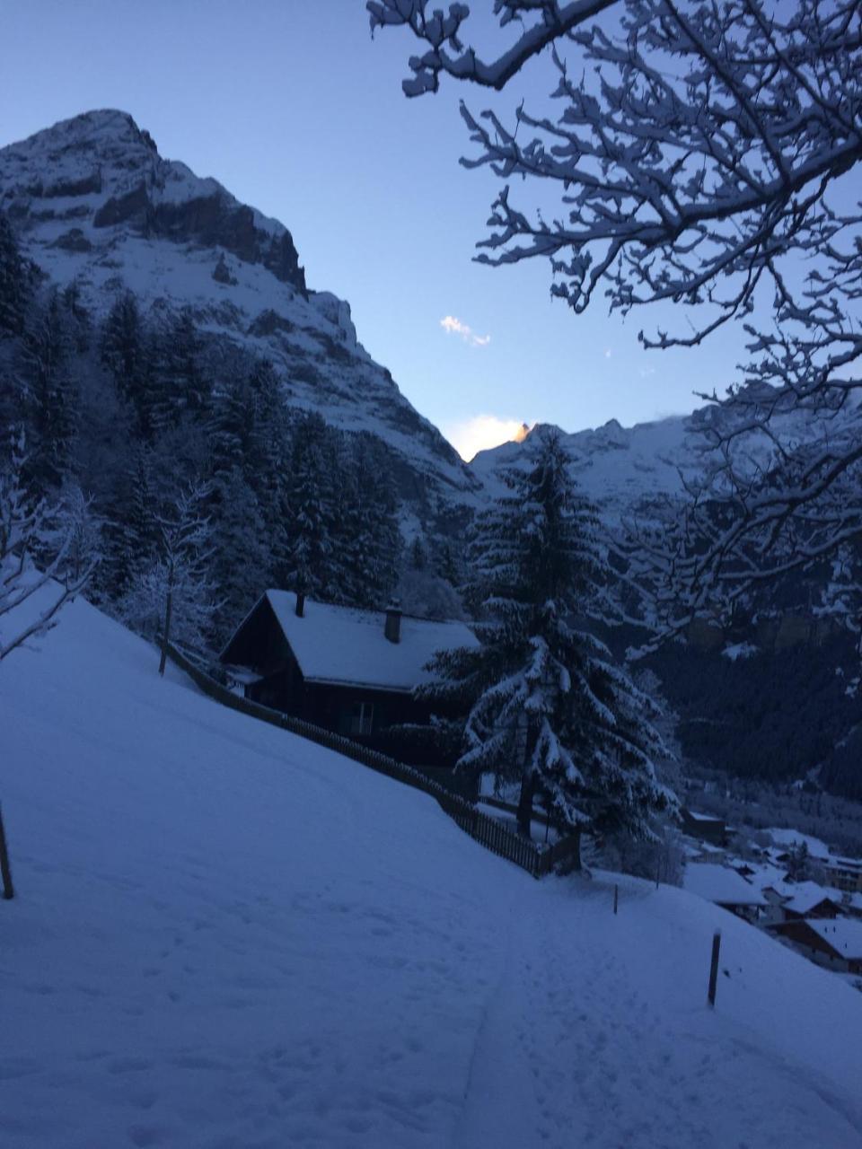 Chalet Gruenegg Гринделвалд Екстериор снимка